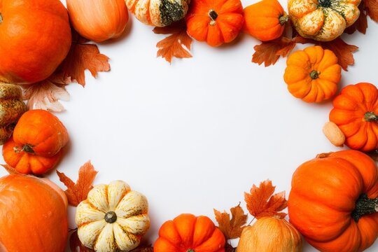 A colorful pumpkin border fills the frame, featuring various sizes and shapes of pumpkins in orange and white hues. Autumn leaves add a seasonal touch, creating a festive atmosphere for Halloween