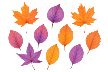 Autumn leaves bundle with colorful foliage, maple and broadleaf shapes, creating seasonal fall designs on transparent background