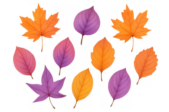 Autumn leaves bundle with colorful foliage, maple and broadleaf shapes, creating seasonal fall designs on transparent background - Powered by Adobe