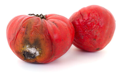 Rotten and moldy tomatoes isolated on white background