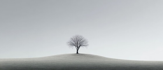 Lone tree on a gentle hill in minimalist winter landscape with soft gray sky