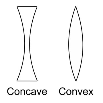 A diagram illustrating the difference between concave and convex shapes, labeled accordingly