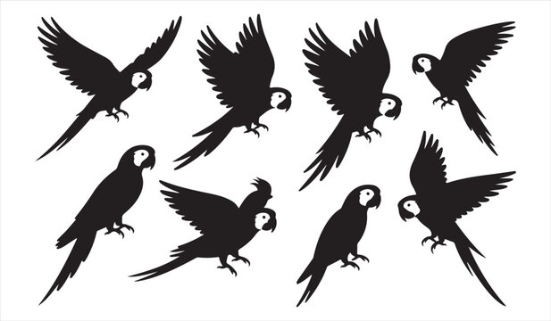 Flying parrot silhouettes in various poses isolated on white vector background for tropical design