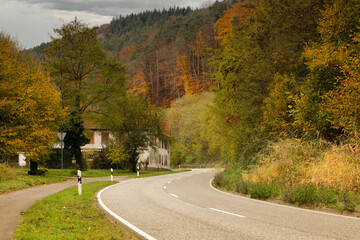 a cloudy autumn morning in the Pfälzerwald
