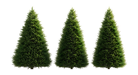 Three Green Christmas Trees of Varying Sizes image