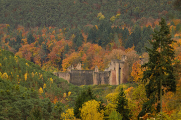 a cloudy autumn morning in the Pfälzerwald, Hardenburg
