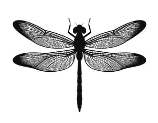 A silhouette of an insect with large, patterned wings. The dragonfly is depicted in a minimalistic black and white style