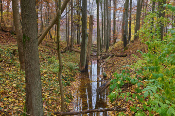 Pomorze zachodnie, jesień w lasach Drawskiego Parku Krajobrazowego, leśna rzeka, Polska, Europa