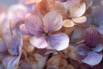 Close-up of delicate, pastel-colored flower petals, showcasing intricate veins and textures