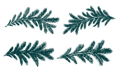 Christmas green tree branch set, hand drawn	
