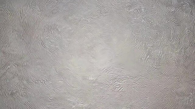 Clean white textured surface with moving light revealing relief patterns. Abstract topographic map or fingerprint ridge background.