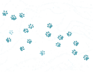  Animal Paw Prints in Snow Illustration