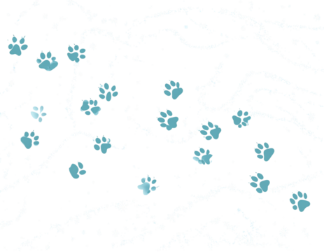  Animal Paw Prints in Snow Illustration