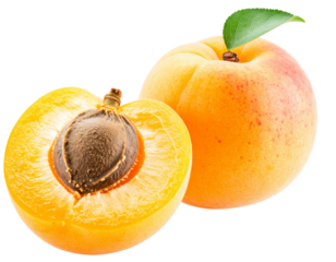 Apricot Duo: Whole and Half Fruit with Seed, Isolated PNG