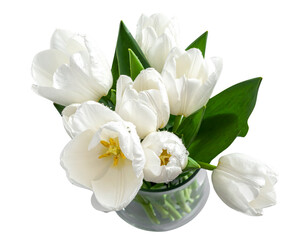 Fresh White Tulip Arrangement with Transparent Glass Vase for Elegant Décor PNG