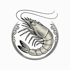 Sea shrimp vector illustration in sketch style