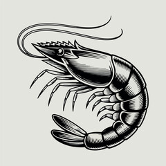 Shrimp logo engraving style design template vintage