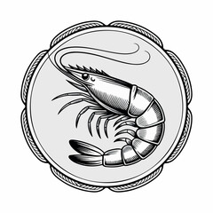 Hand drawn shrimp illustration on white background. Seafood.