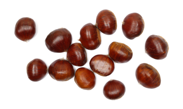 Fresh raw chestnut pile isolated on white background, top view