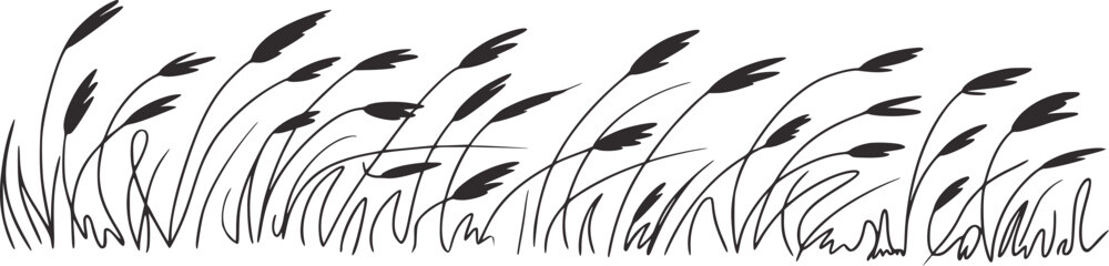 Swaying reeds silhouette grass wind