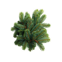 A close-up overhead view of a section of vibrant, green conifer branches, cut from a tree