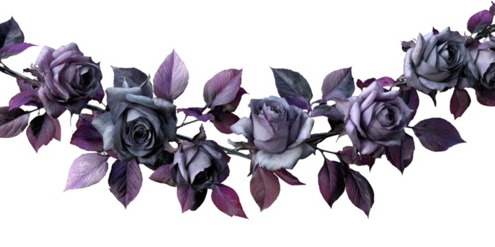 A curved garland of purple and gray roses with leaves arranged against a black background