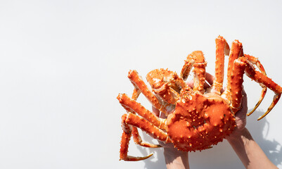 King crab on hand