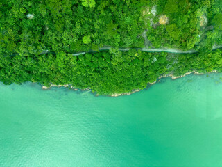 Upper view of Lantau Island, Hongkong with green plants and trees capturing the beauty of Hongkongs nature.