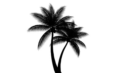 A silhouette of two palm trees with visible coconuts is prominently displayed against a plain transparent background.