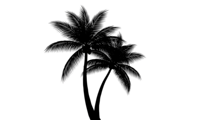 A silhouette of two palm trees with visible coconuts is prominently displayed against a plain transparent background.