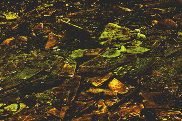 Abstract dark brown toxic green debris trash