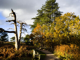A view over the suburbs of the city of Birmingham Worcestershire West Midlands England UK
