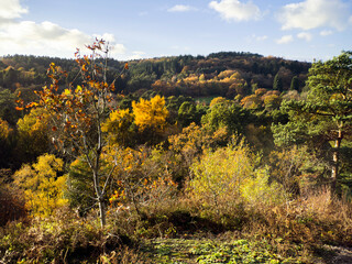 A view over the suburbs of the city of Birmingham Worcestershire West Midlands England UK