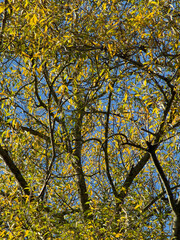 A view over the suburbs of the city of Birmingham Worcestershire West Midlands England UK