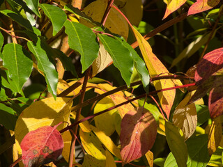 A view over the suburbs of the city of Birmingham Worcestershire West Midlands England UK