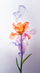 Enfoque suave de un tulipán naranja