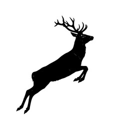 deer silhouette vector