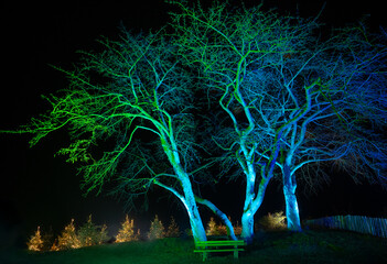 Bunt bestrahlte d&uuml;rre B&auml;ume und Weihnachtsb&auml;ume im Hintergrund