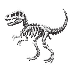 Black grunge dinosaur skeleton illustration on pure white background, ideal for prehistoric art, fossil themes, museum designs, educational projects, and creative wildlife graphics