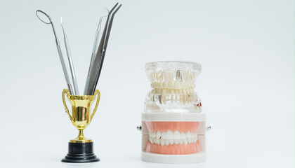Dental Trophy with Tools and Jaw Models Display