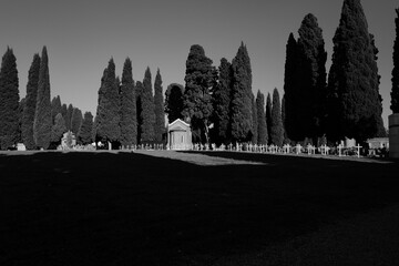 Chapelle et cypr&egrave;s : m&eacute;moire verticale sous lumi&egrave;re rasante