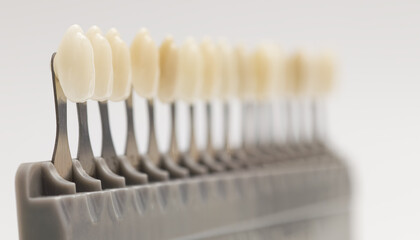 Tooth shade guide for color matching in dentistry