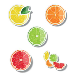 Obraz premium Citrus Variety Stickers Lemon, Lime, Orange & Grapefruit Illustrations