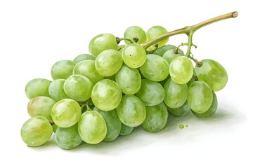 Green Grapes Bunch Isolated