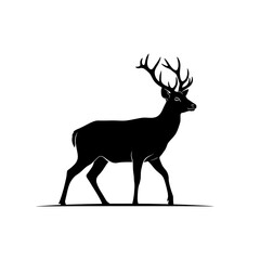 silhouette of deer