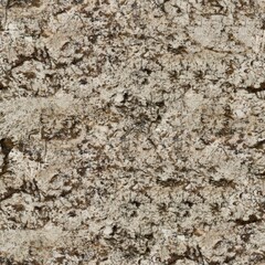 Brown granite, abstract background. Seamless texture, tile ready.