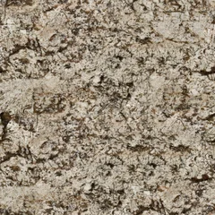 Fotobehang Marmer Brown granite, abstract background. Seamless texture, tile ready.  © Dmytro Synelnychenko