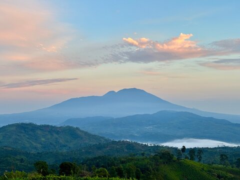 Stunning view of mount Gede-Pangrango or a similar volcano over lush green tea plantations at sunrise, with morning fog filling the valleys below.
