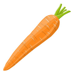 Carrot vegetable icon