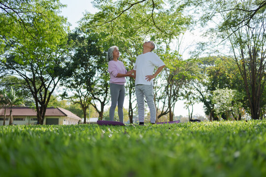 Happy asian senior couple enjoy healthy outdoor lifestyle in green park. Joyful elderly man and woman talking together on sunny summer day